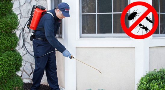 Ferizli Hamam Böceği İlaçlama böcek ilaçlama ve haşere kontrolü — ilaclama-tr.com